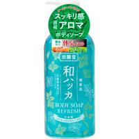 JUNSUHADA Japanese Peppermint Cool Body Soap 480ml